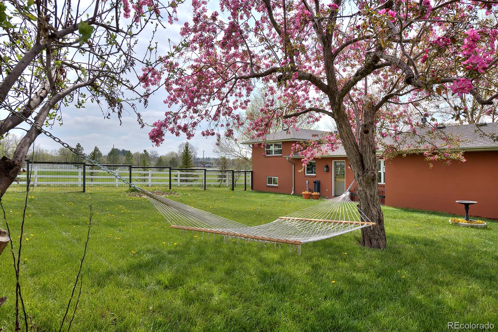 8239 Hygiene Road Longmont, CO 80503 - Photo 32 of 40