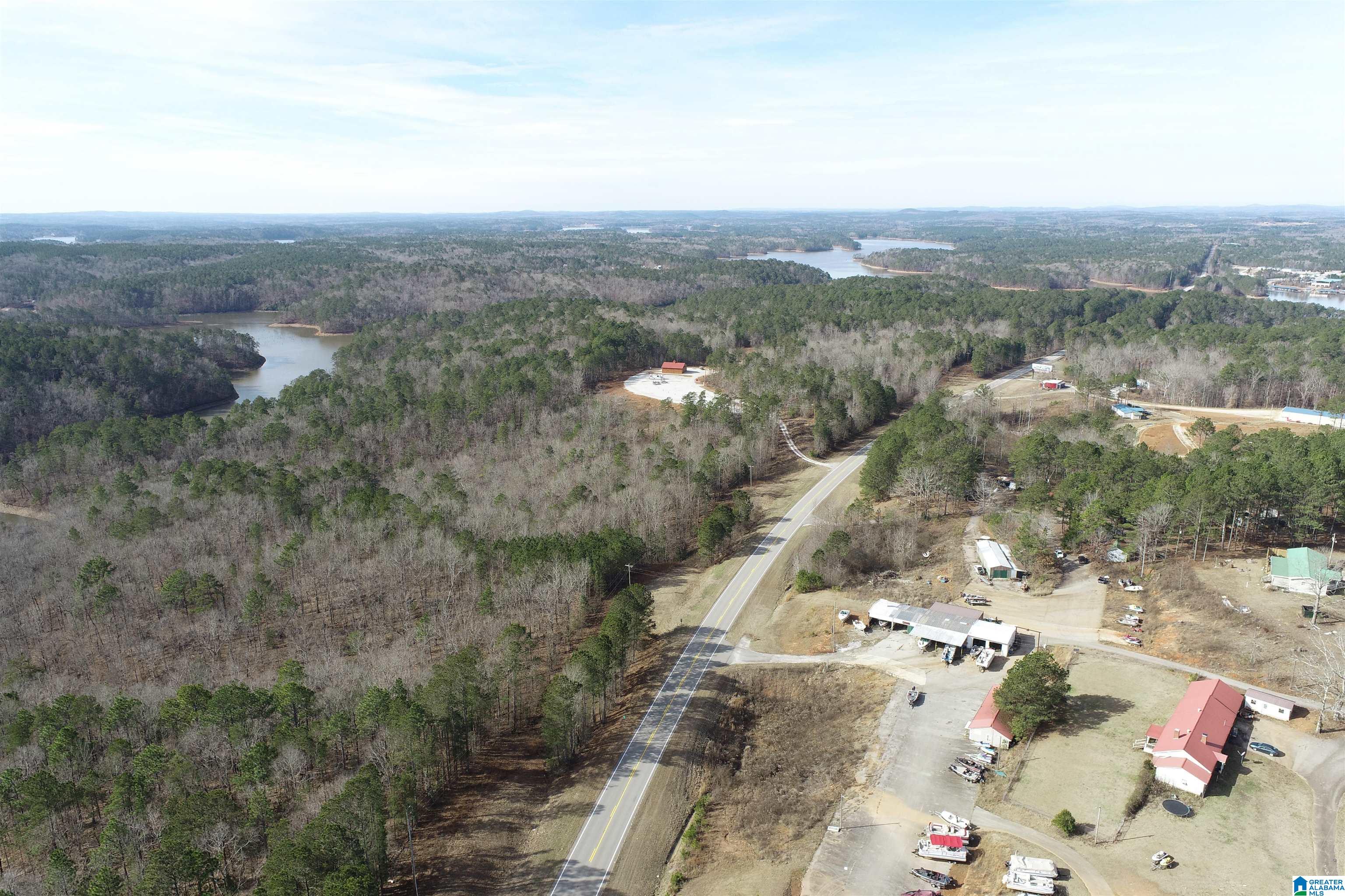 0 Highway 48 Wedowee, AL 36278 - Photo 5 of 9