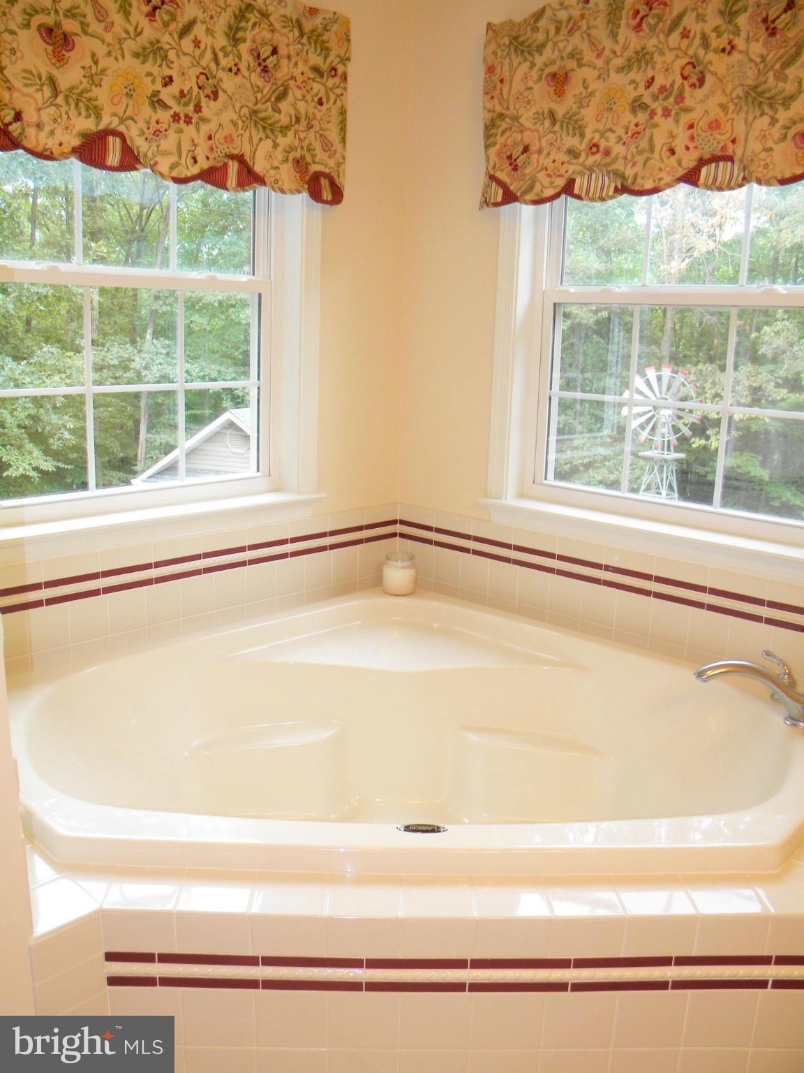 1721 Clay Hammond Road Prince Frederick, MD 20678 - Photo 20 of 30 Bath (Master)