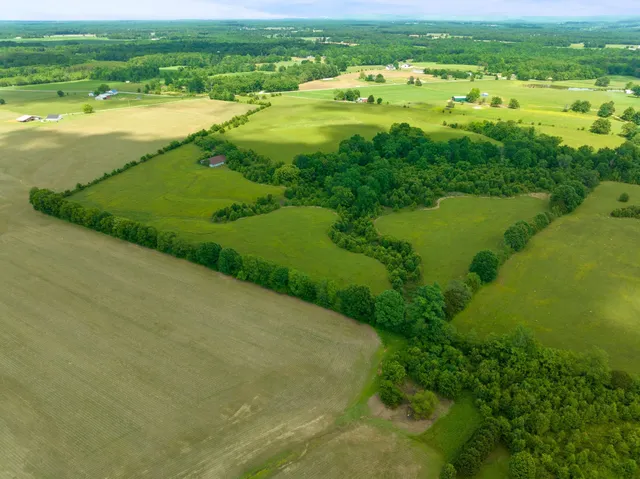 a view of an ocean from a yard