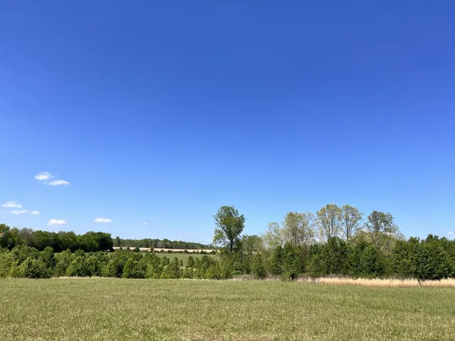 a backyard of a house with lots of green space and garden