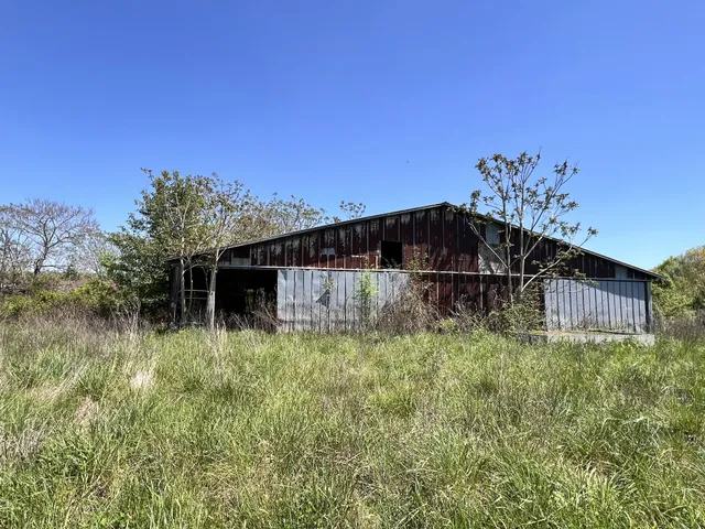 a yard with trees in the background