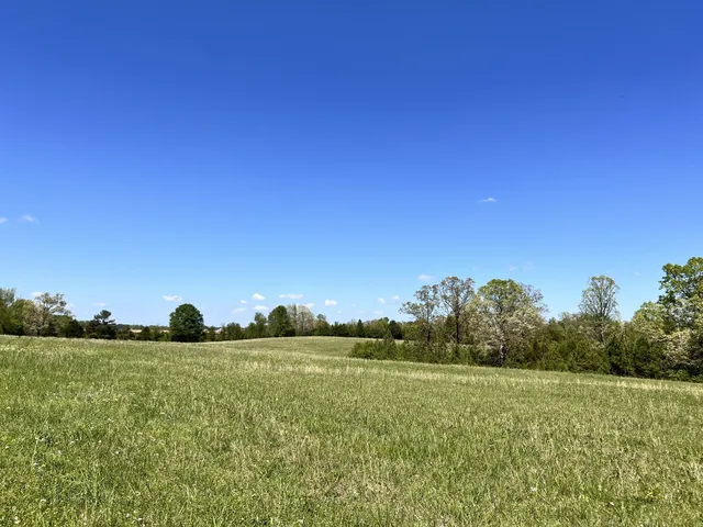 a view of an ocean and beach