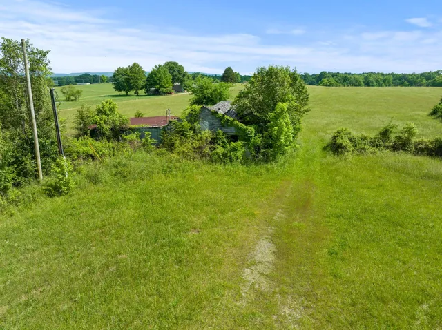 a backyard of a house with lots of green space