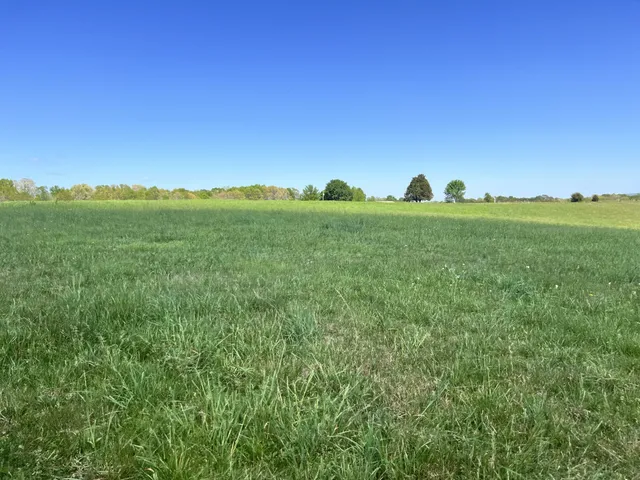a view of a lake with a big yard