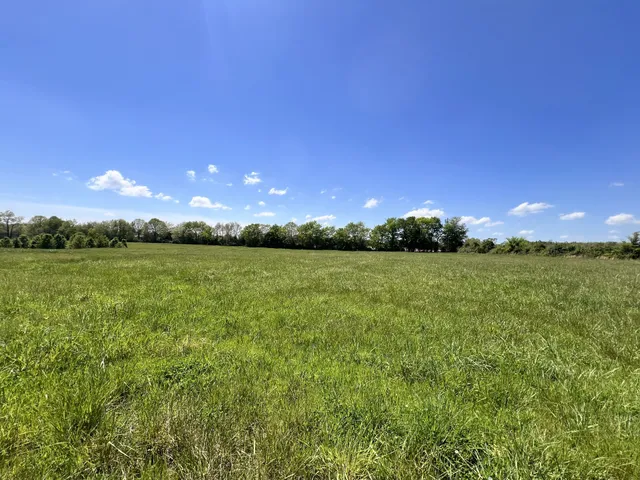 a view of a green field with sitting space