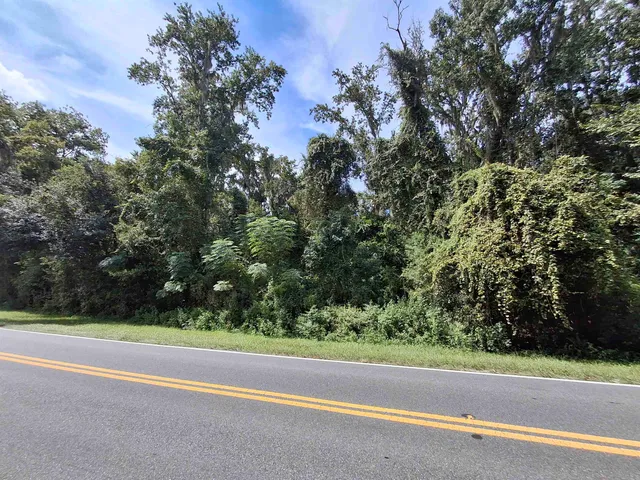 a view of a park with large trees