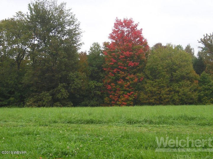 11280 Ellenton Mountain Road Shunk, PA 17768 - Photo 54 of 61 Land