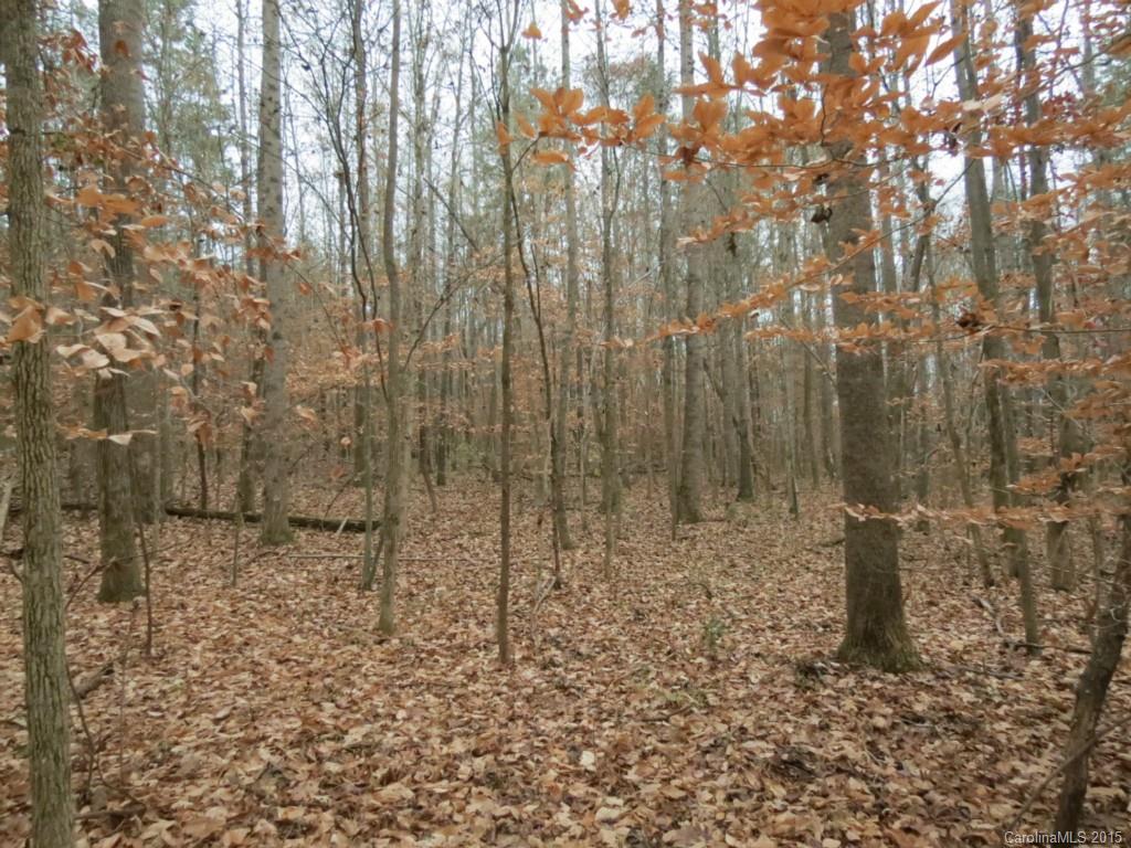 1 Ben Black Road Midland, NC 28107 - Photo 2 of 5