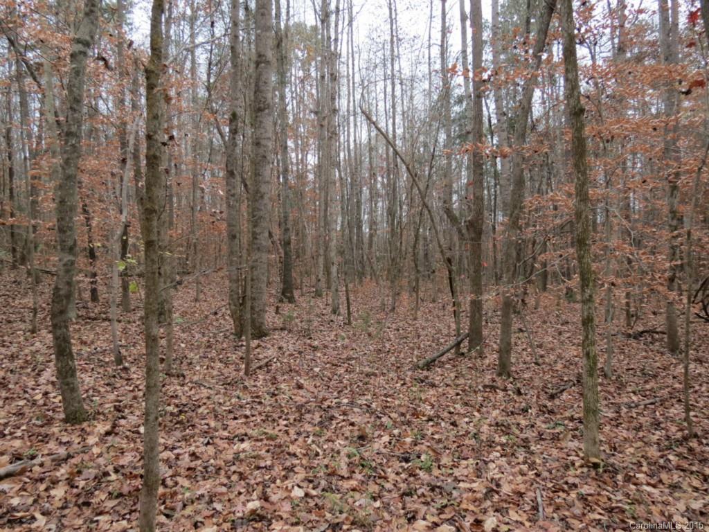 1 Ben Black Road Midland, NC 28107 - Photo 3 of 5