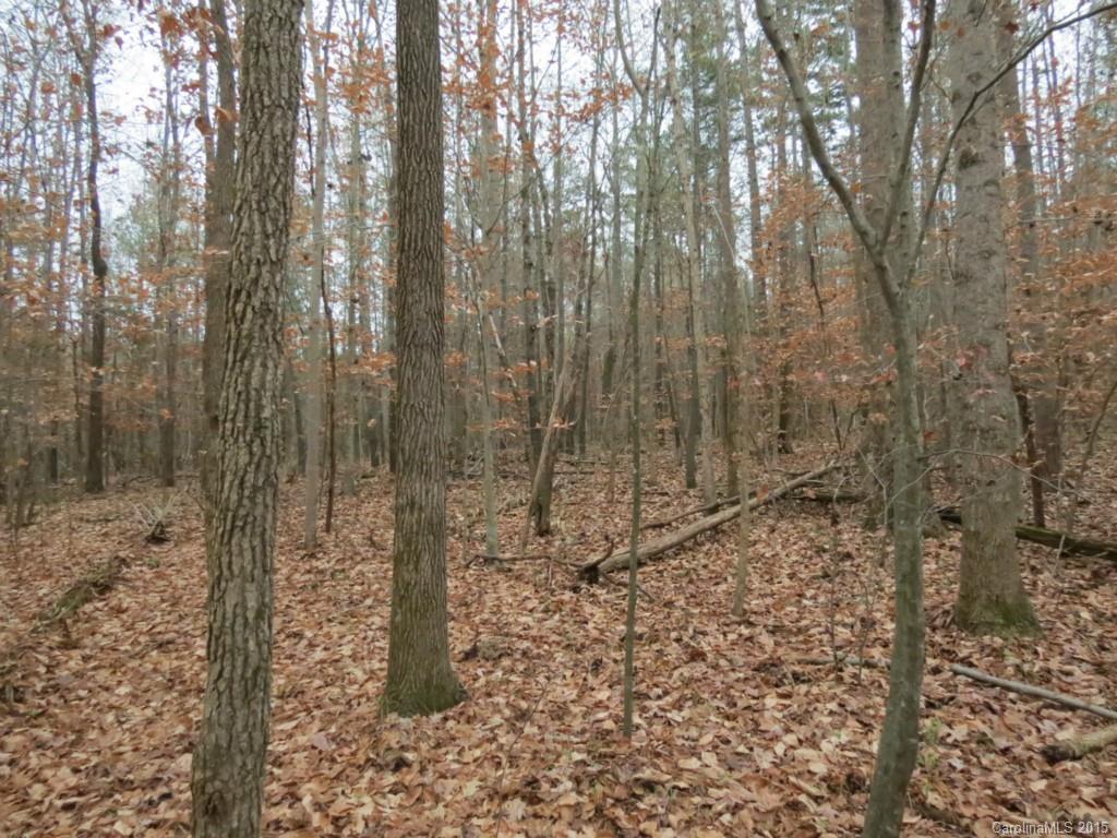 1 Ben Black Road Midland, NC 28107 - Photo 4 of 5