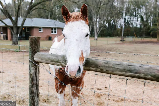 a view of a yard with trees