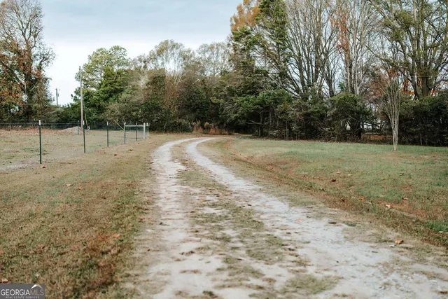 a view of a yard with trees