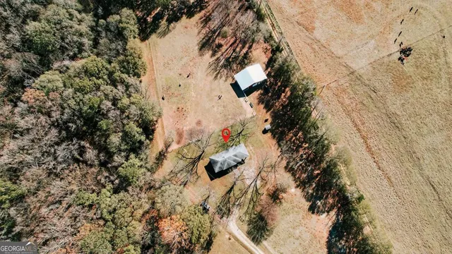 a view of plant in the background