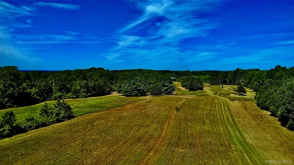 a view of a yard