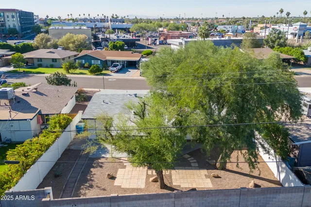 a tree in front of a white house