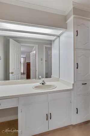 a bathroom with a sink and a mirror