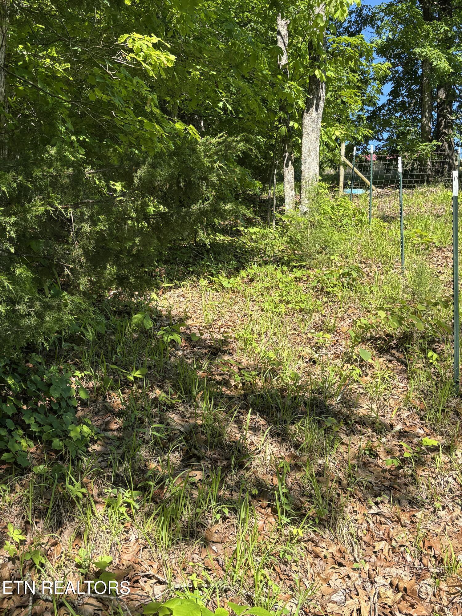 Van Davis Road Georgetown, TN 37336 - Photo 2 of 4 2