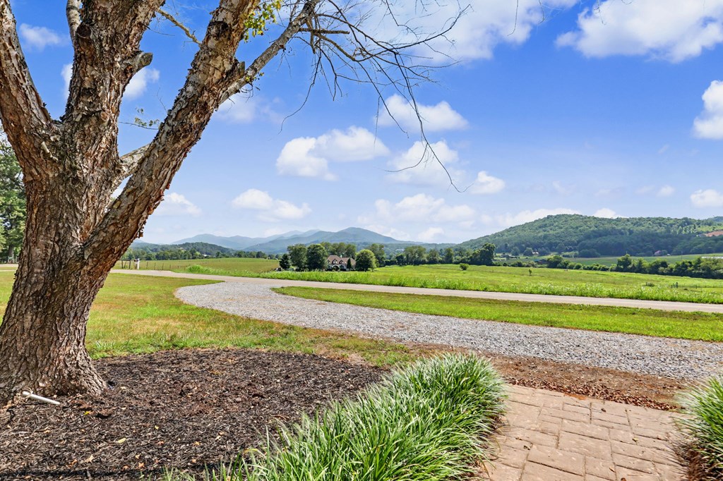 467 Reese Road Brasstown, NC 28902 - Photo 2 of 82
