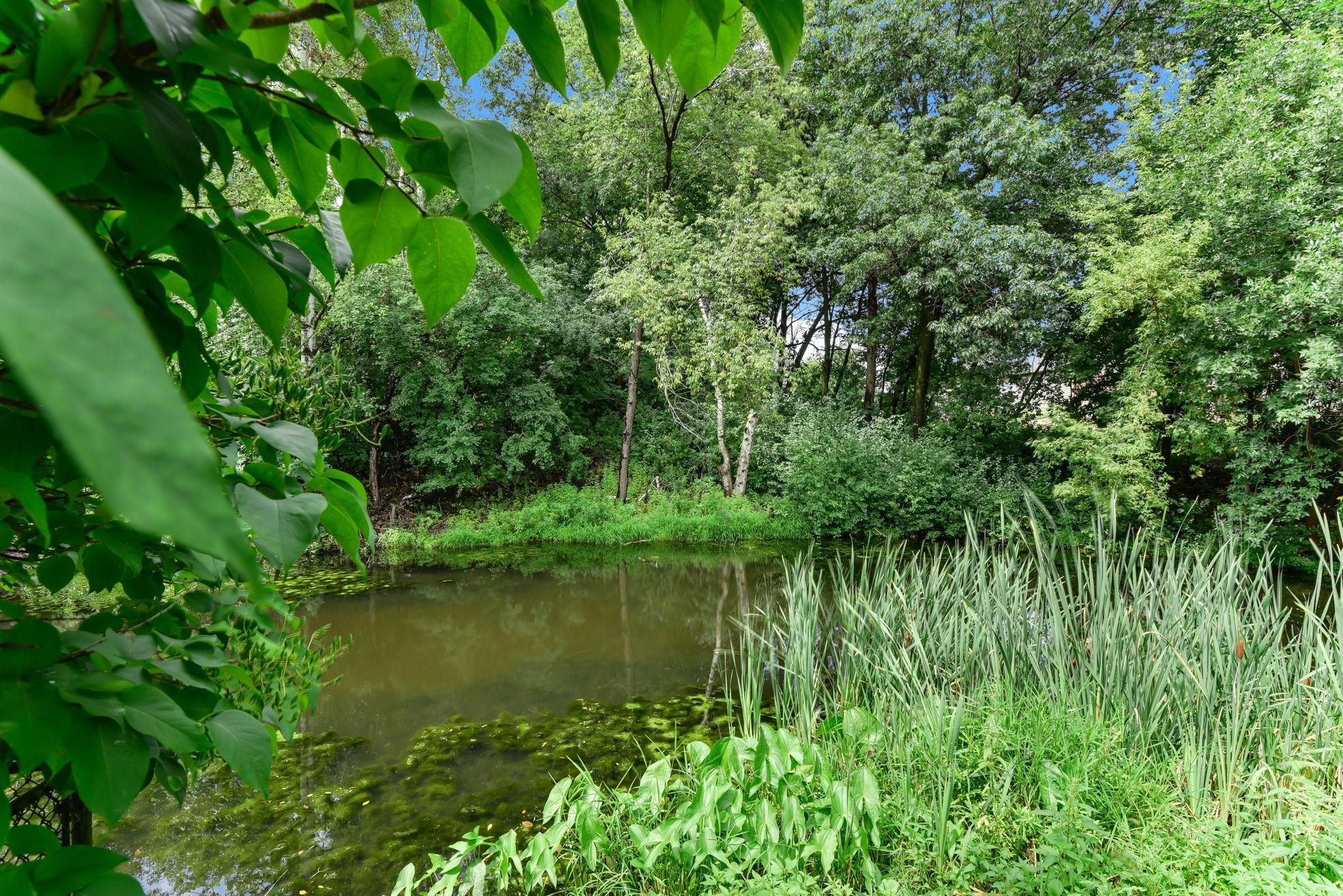 6170 Dallas Lane North Plymouth, MN 55446 - Photo 55 of 56