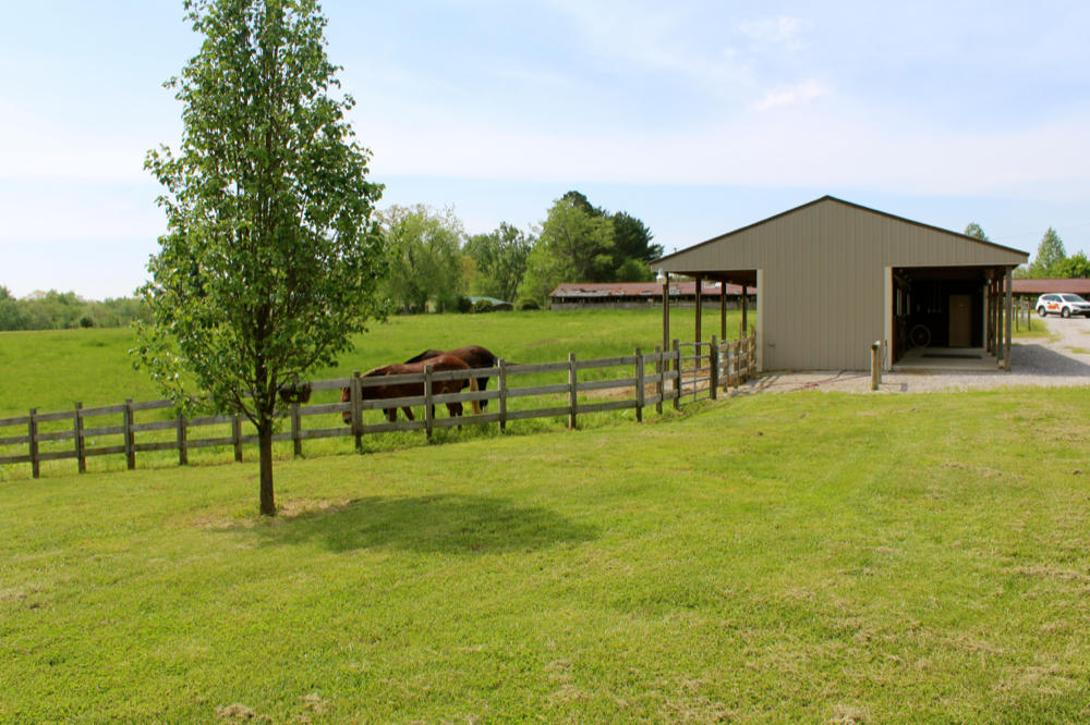 3041 Mt Helen Road Allardt, TN 38504 - Photo 3 of 40 IMG_6819_1000x666
