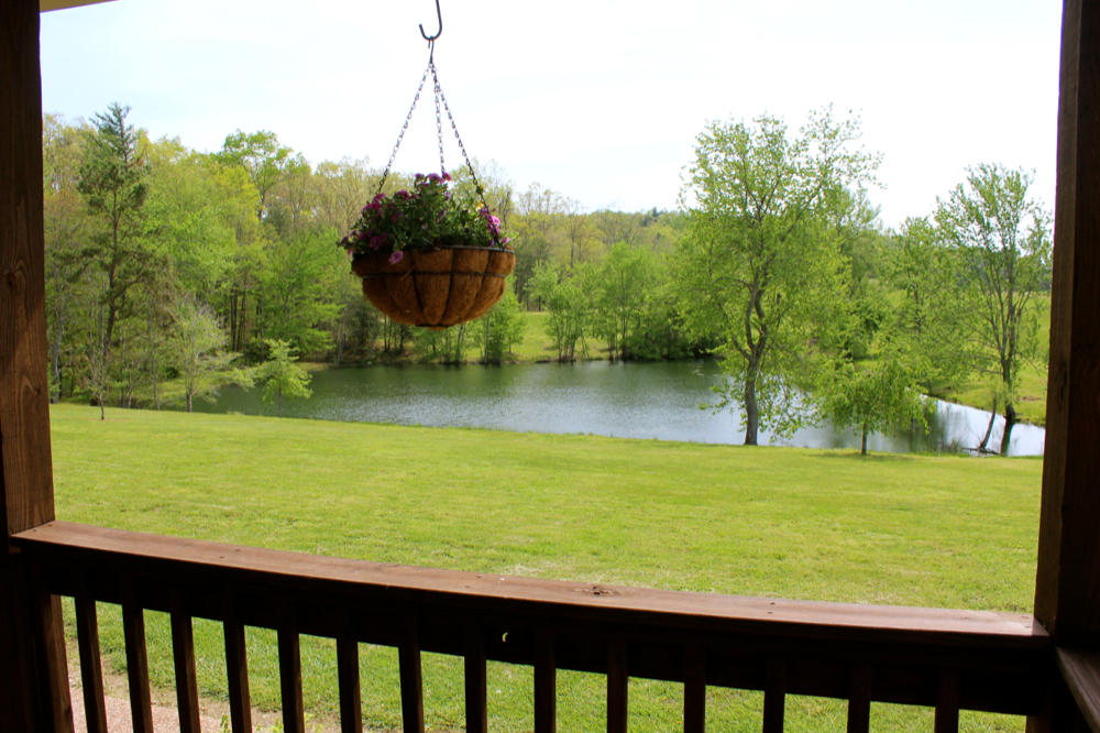 3041 Mt Helen Road Allardt, TN 38504 - Photo 4 of 40 IMG_6817_1000x666