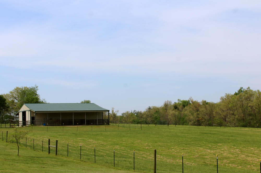 3041 Mt Helen Road Allardt, TN 38504 - Photo 40 of 40 IMG_6812_1000x666