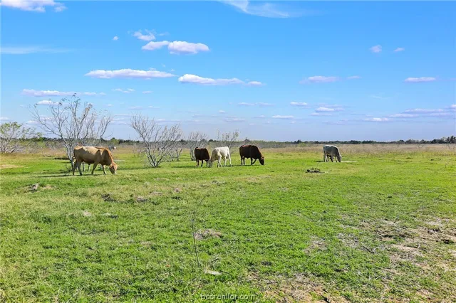 $735,000 | 3448 County Road 270, Cameron, TX 76520