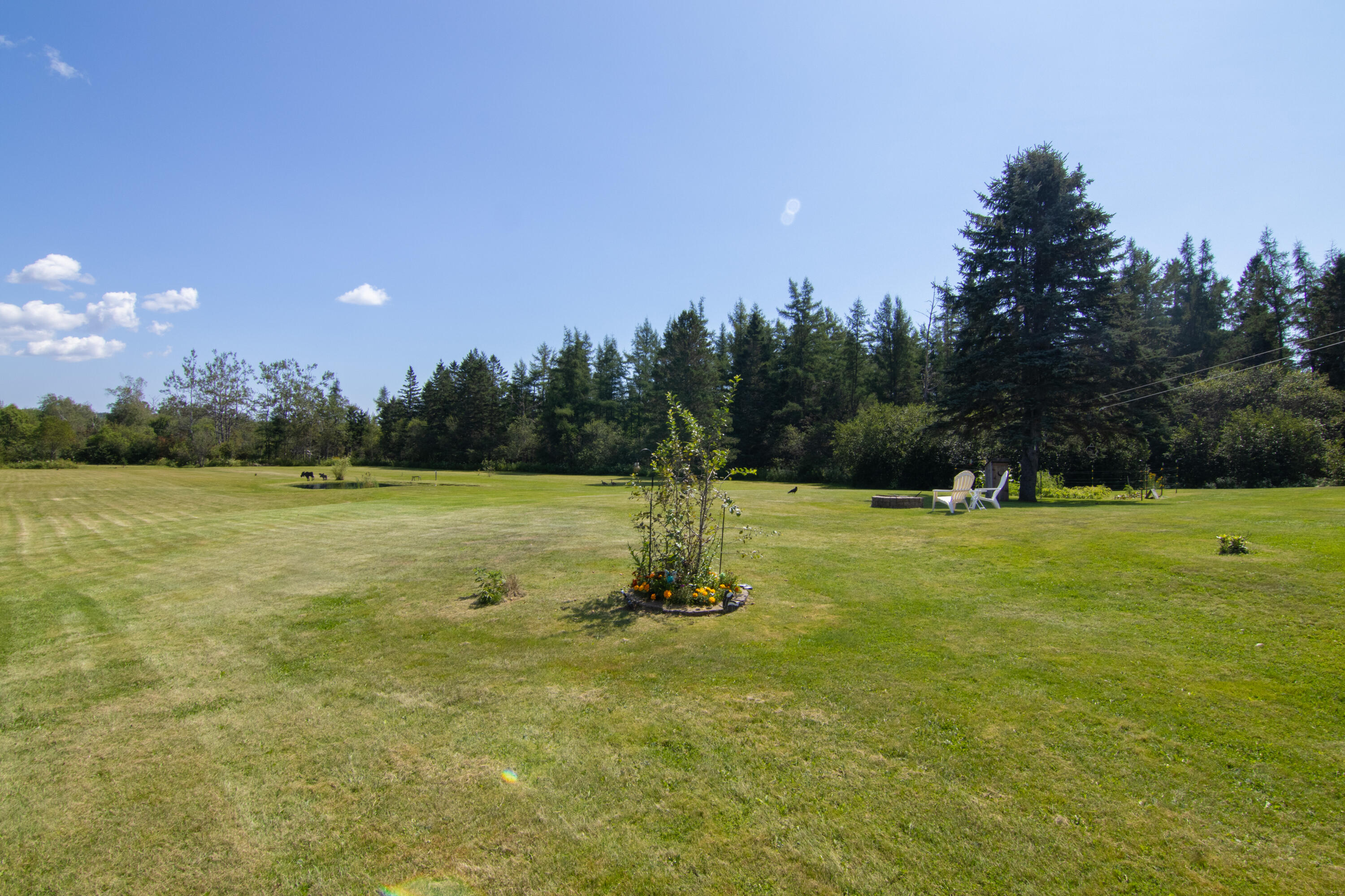 124 Pineo Point Road Harrington, ME 04643 - Photo 48 of 58 124 Wilson District Rd Exterior-9273