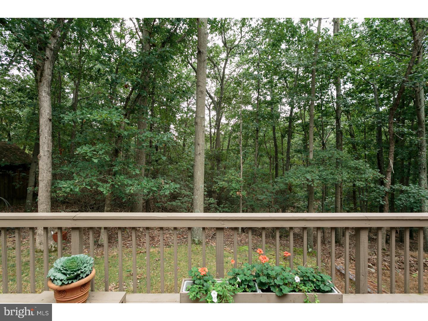 361 Tuckerton Road Shamong, NJ 08088 - Photo 25 of 25 View