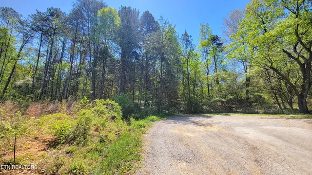 $25,000 | 144 Wale Drive, Parrottsville, TN 37843