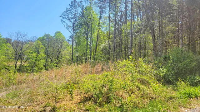 $25,000 | 144 Wale Drive, Parrottsville, TN 37843