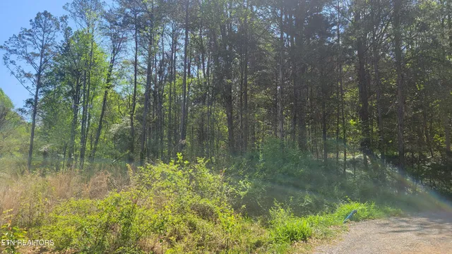 $25,000 | 144 Wale Drive, Parrottsville, TN 37843