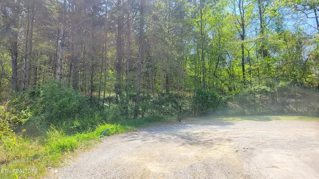 $25,000 | 144 Wale Drive, Parrottsville, TN 37843