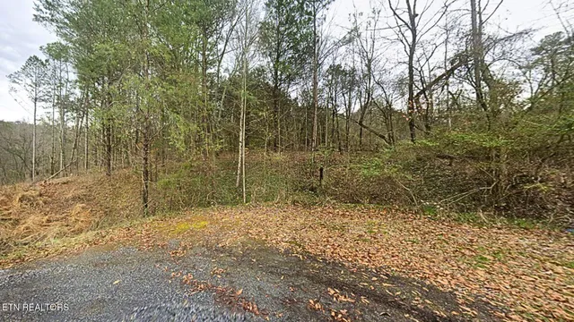 $25,000 | 144 Wale Drive, Parrottsville, TN 37843