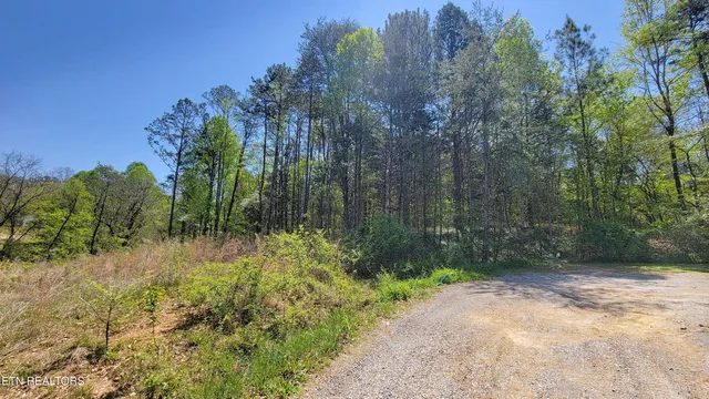 $25,000 | 144 Wale Drive, Parrottsville, TN 37843