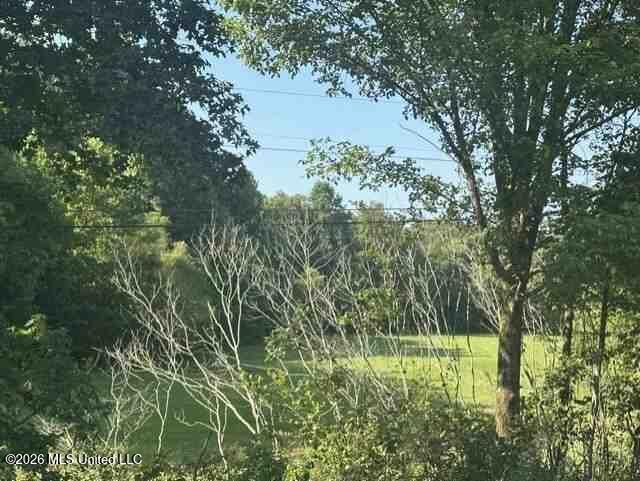 864 County Road Dennis, MS 38838 - Photo 1 of 2 CR864 picture 1