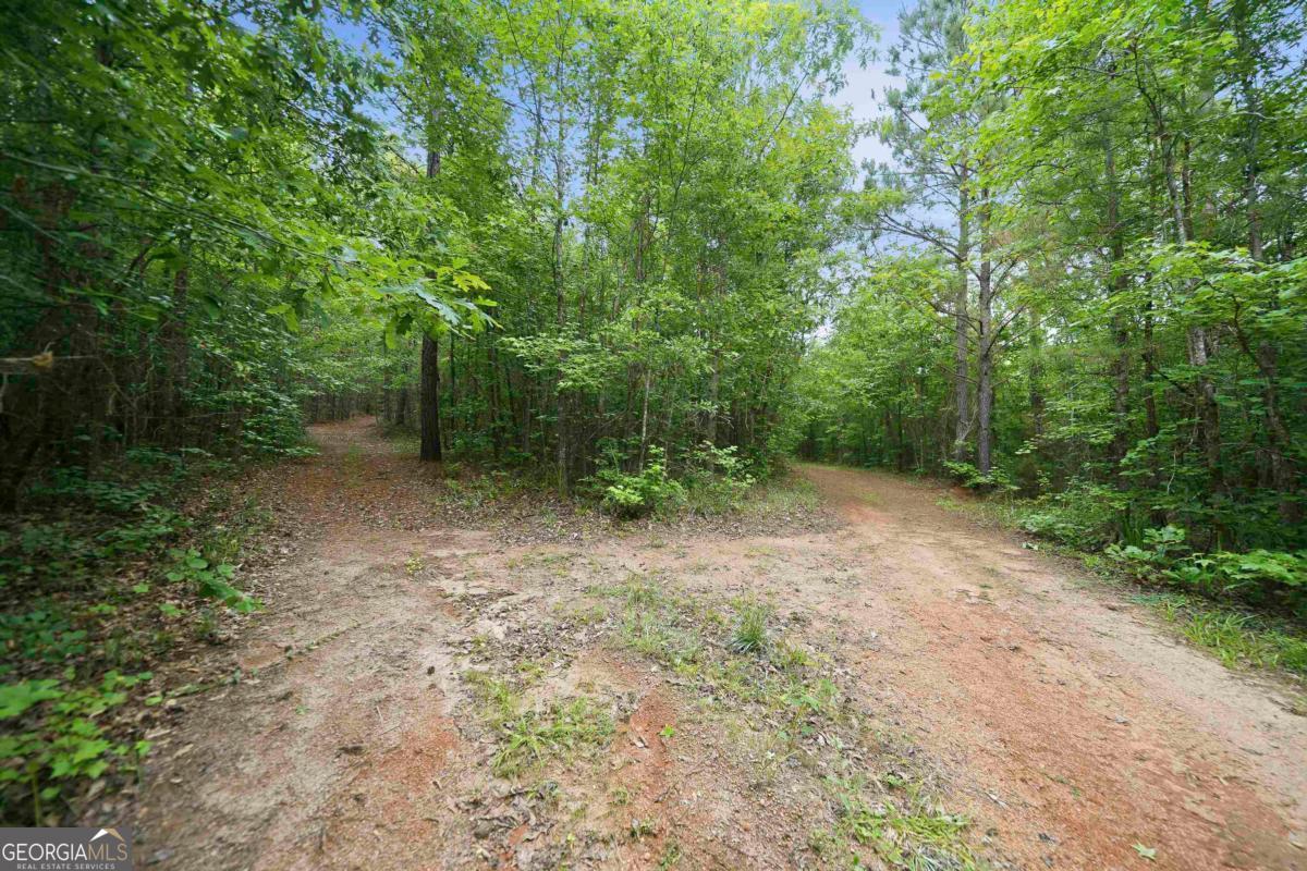 0 Pear Orchard Road Greensboro, GA 30642 - Photo 9 of 34