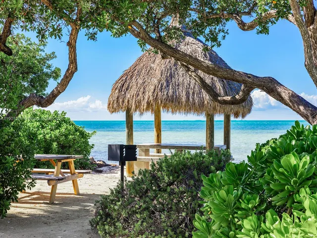 a view of a backyard with plants and a patio