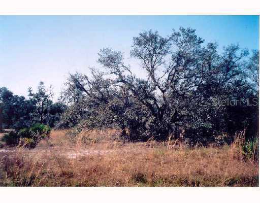 Crows Bluff Lake Lake Wales, FL 33859 - Photo 1 of 1 Land/Lot