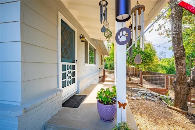 a view of sign board with potted plants