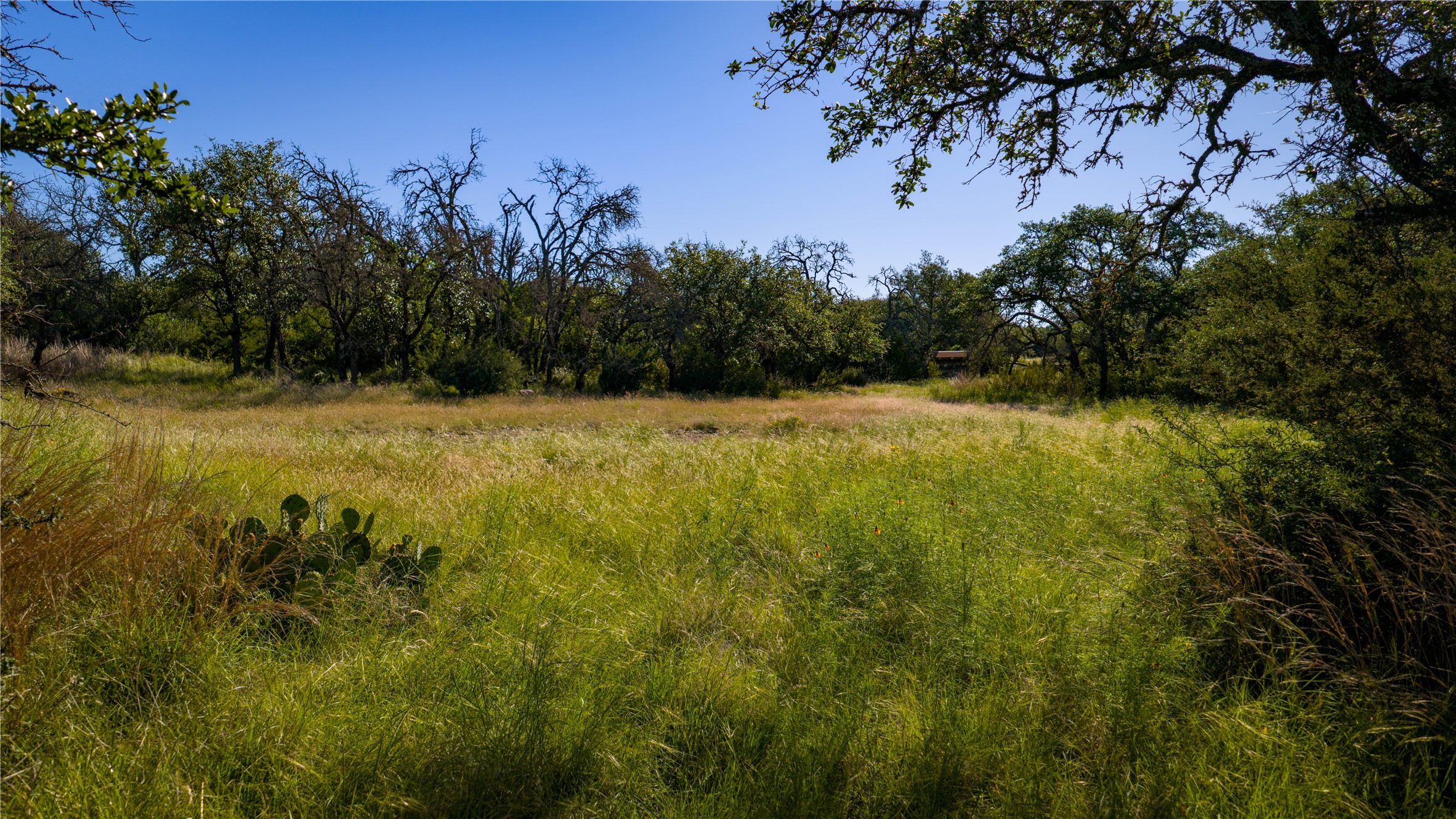 3276 Link Road Doss, TX 78618 - Photo 16 of 35 a view of yard with trees in the background