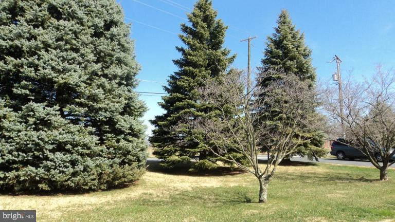 1705 Bollinger Road Finksburg, MD 21048 - Photo 4 of 19 LOT SURROUNDED WITH BEAUTIFUL TREES