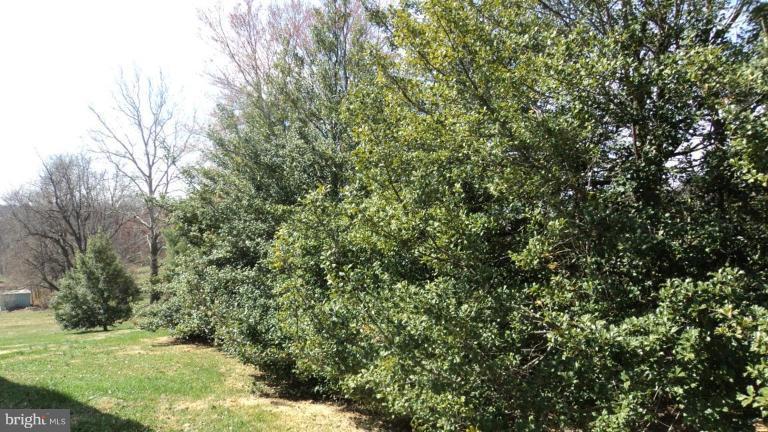 1705 Bollinger Road Finksburg, MD 21048 - Photo 6 of 19 BEAUTIFUL SIDE YARD WITH SHRUBS AND TREES
