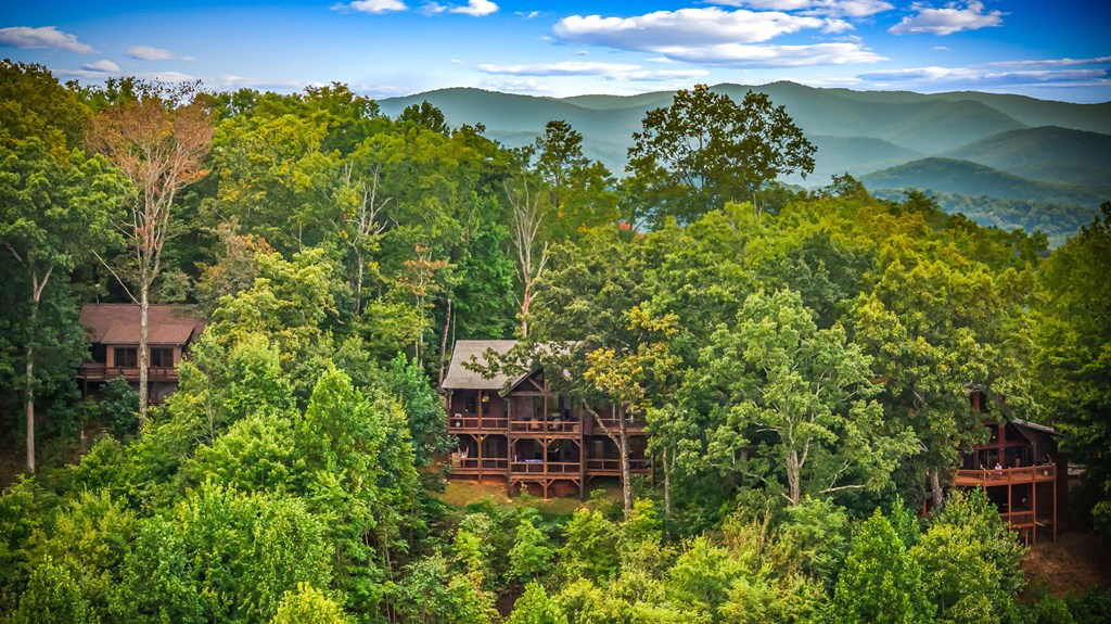 401 Sunrock Mountain Trace Blue Ridge, GA 30513 - Photo 66 of 80 Gallery Image 66