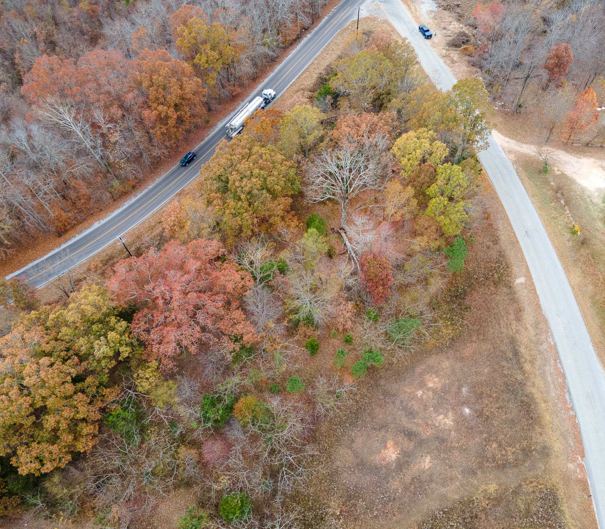 0 Mifflin Road Jackson, TN 38301 - Photo 2 of 10 a view of a forest from a window