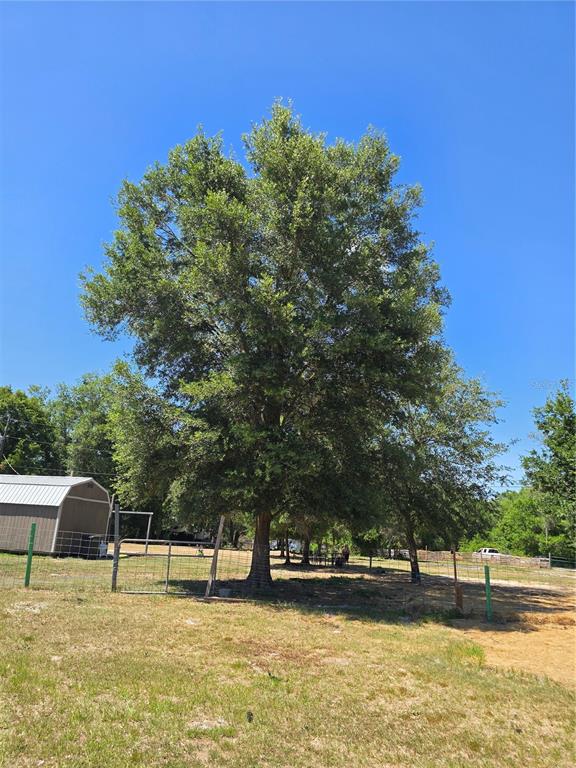 27137 Miller Road Dade City, FL 33525 - Photo 22 of 29 Gallery Image 22