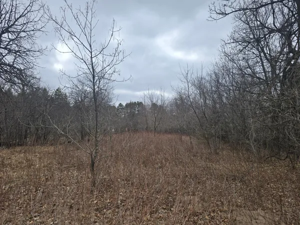 $69,900 | L11-b1 288th Avenue Northwest, Zimmerman, MN 55398