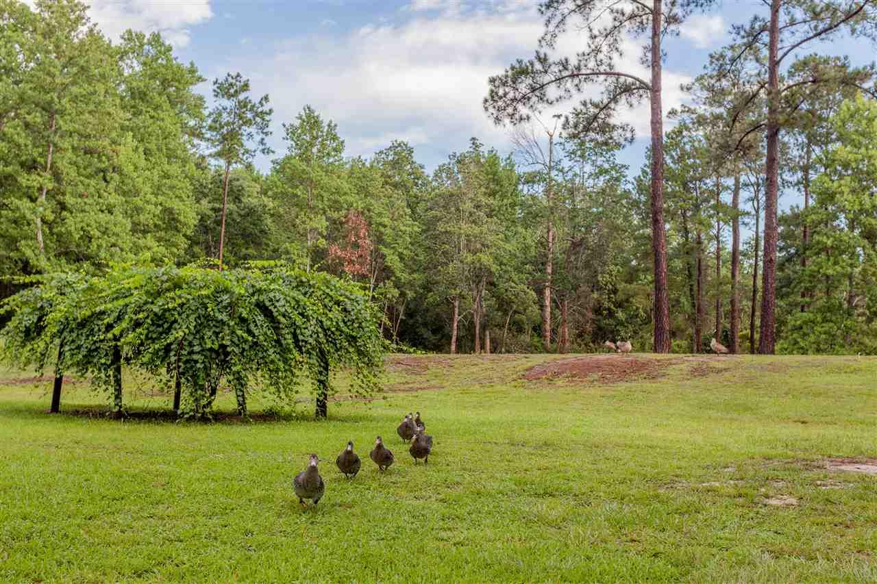 6736 Helms Road Pensacola, FL 32526 - Photo 33 of 47 Gallery Image 33