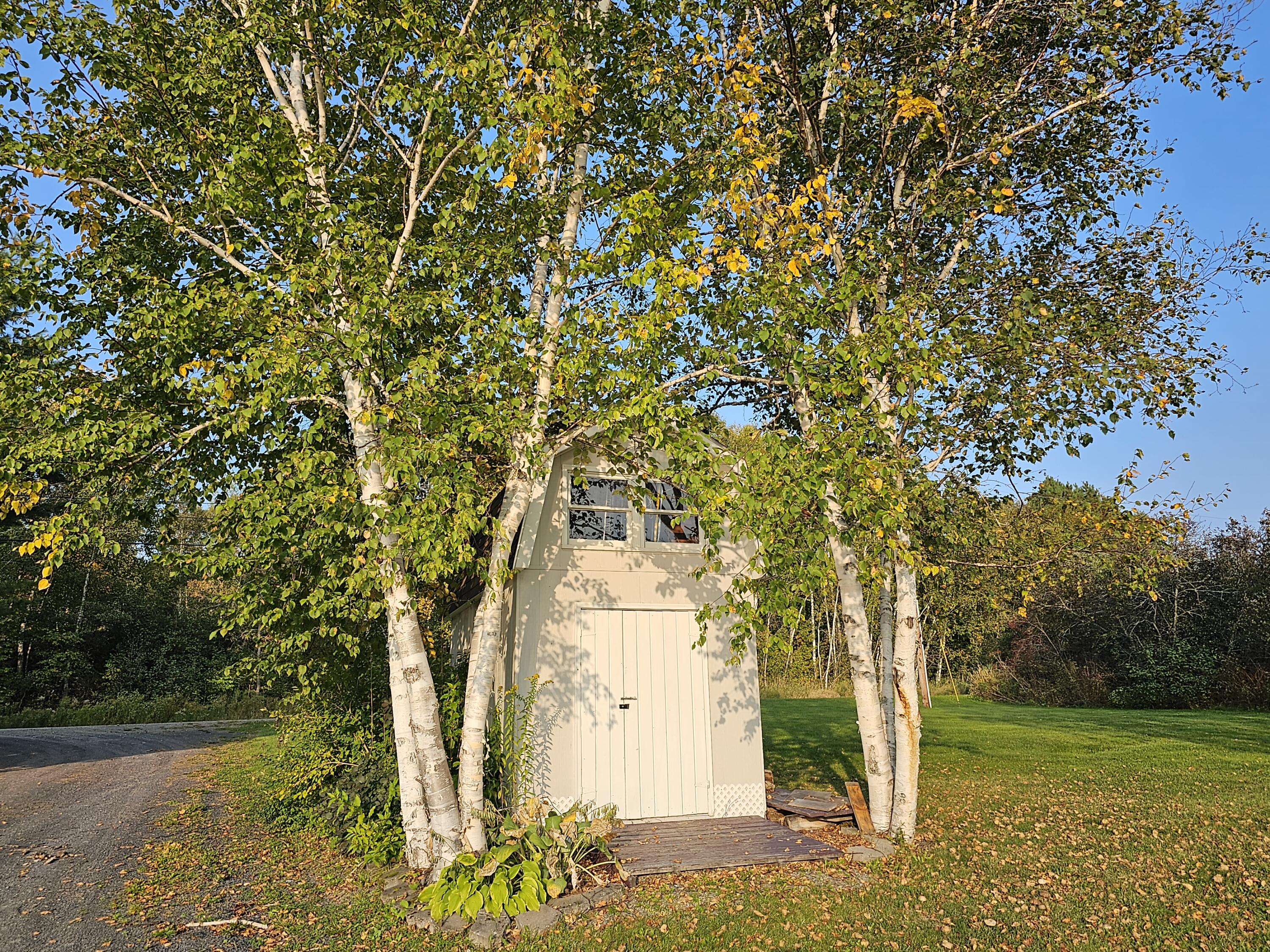 1767 Sly Brook Road Eagle Lake, ME 04739 - Photo 9 of 64 20230924_171246